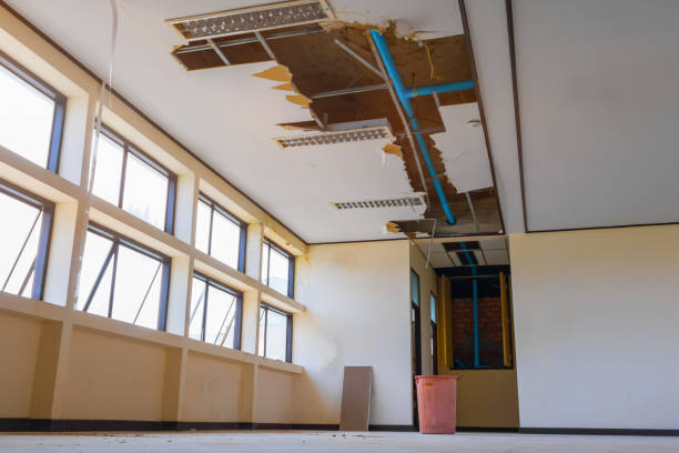 Best Fire Damage Restoration  in Windsor Heights, IA