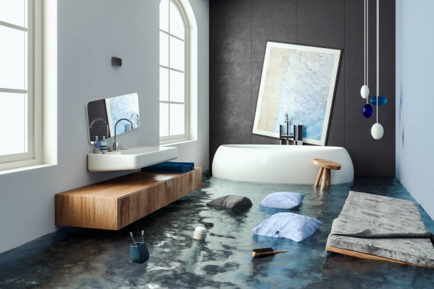 Best 24-hour water damage restoration  in Windsor Heights, IA