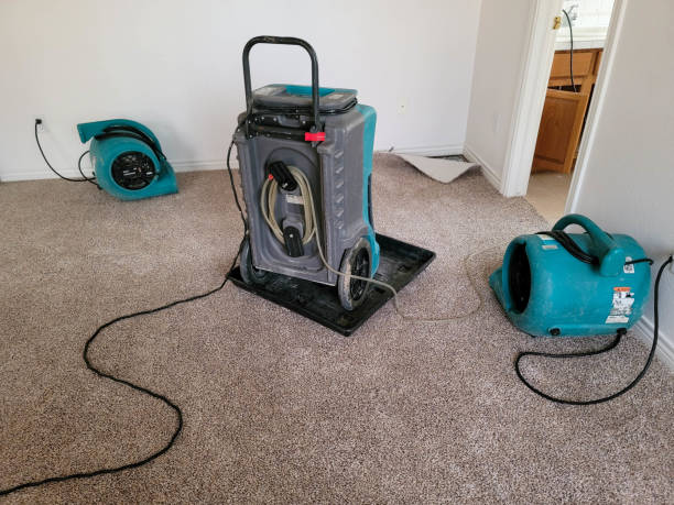 Best Carpet water damage restoration  in Windsor Heights, IA