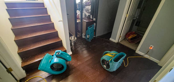 Best Water damage cleanup near me  in Windsor Heights, IA