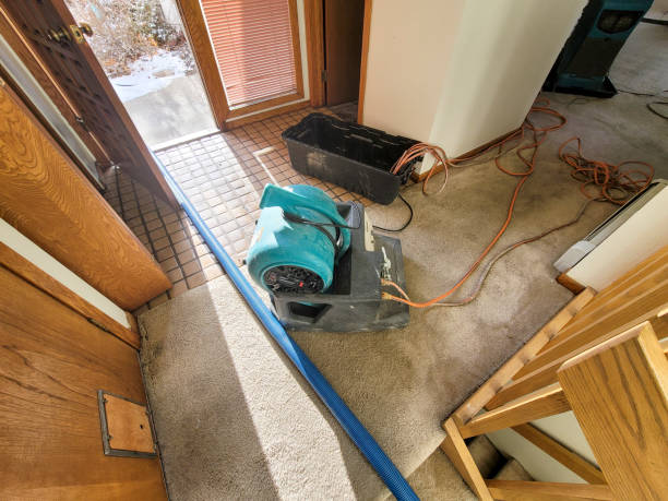Best Flooded house restoration  in Windsor Heights, IA