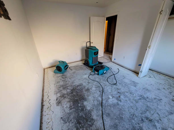 Best Basement water damage restoration  in Windsor Heights, IA