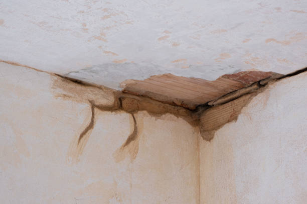 Best Water damage mitigation services  in Windsor Heights, IA