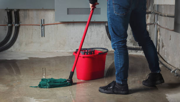 Best Water damage restoration near me  in Windsor Heights, IA