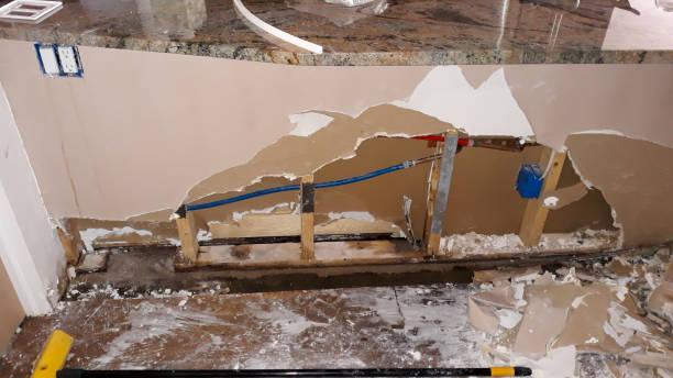 Best Water damage restoration process  in Windsor Heights, IA