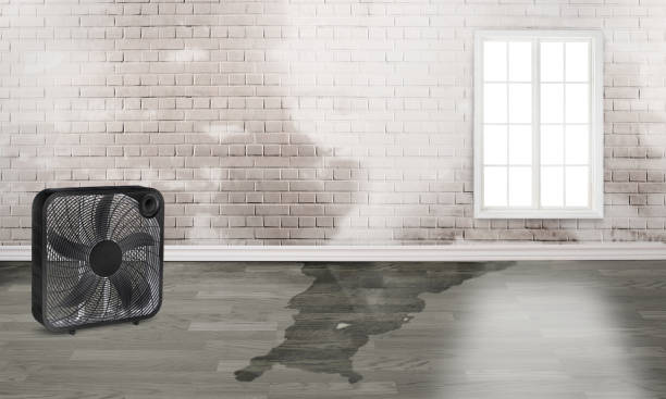 Carpet water damage restoration in IA
