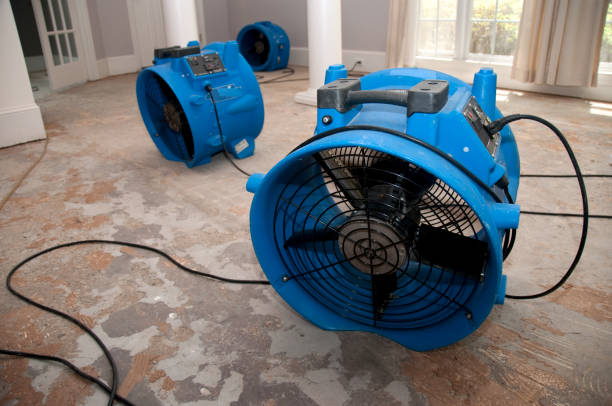 Best Water damage restoration experts  in Windsor Heights, IA
