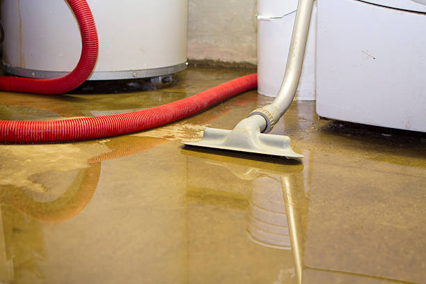 Best Commercial water damage restoration  in Windsor Heights, IA