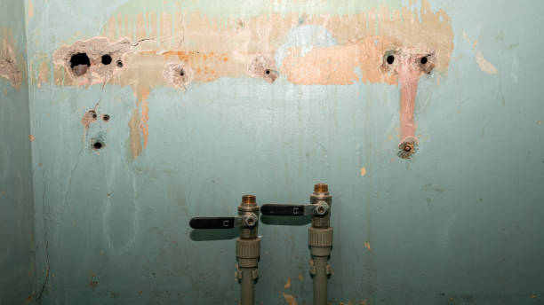 Best Flooded house restoration  in Windsor Heights, IA