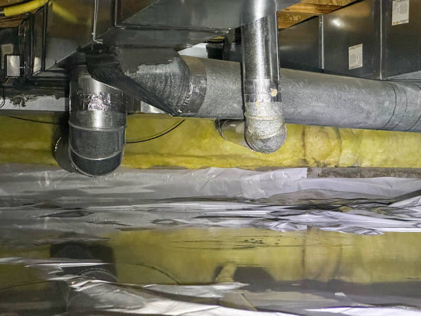 Best Fire Damage Restoration  in Windsor Heights, IA