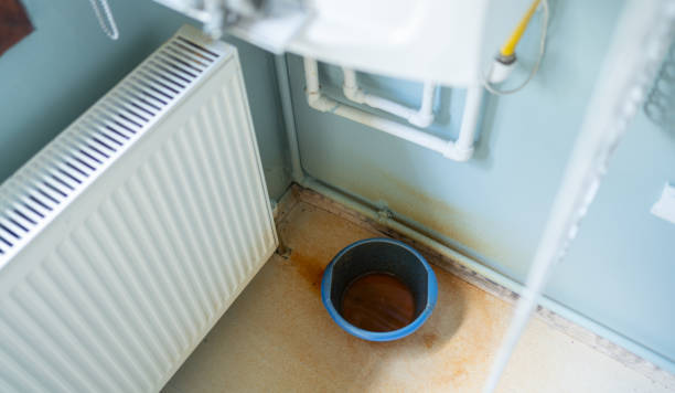 Best 24/7 water damage repair  in Windsor Heights, IA