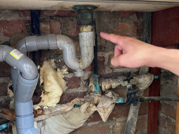 Best Local water damage restoration  in Windsor Heights, IA
