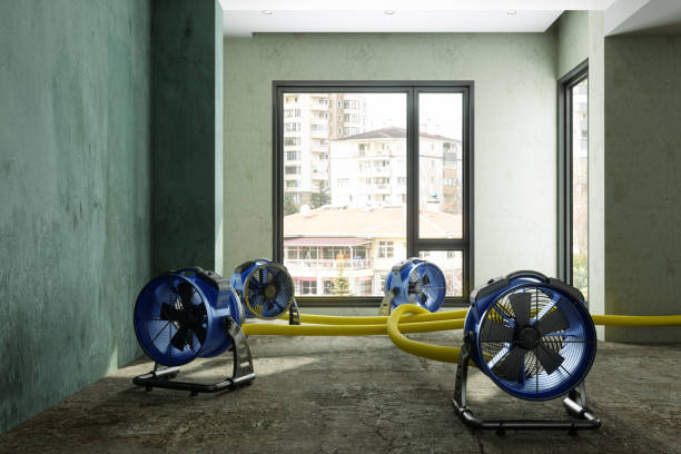 Best Water damage cleanup near me  in Windsor Heights, IA