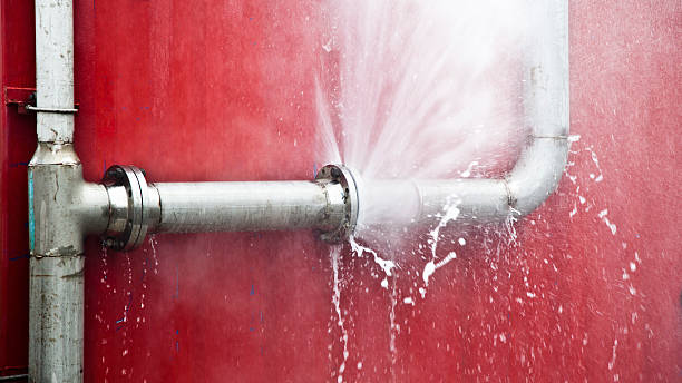 Best Mold removal after water damage  in Windsor Heights, IA
