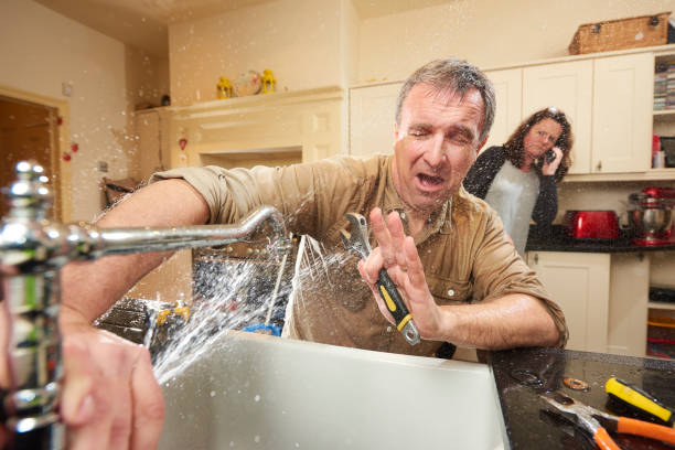 Best Water damage contractors near me  in Windsor Heights, IA